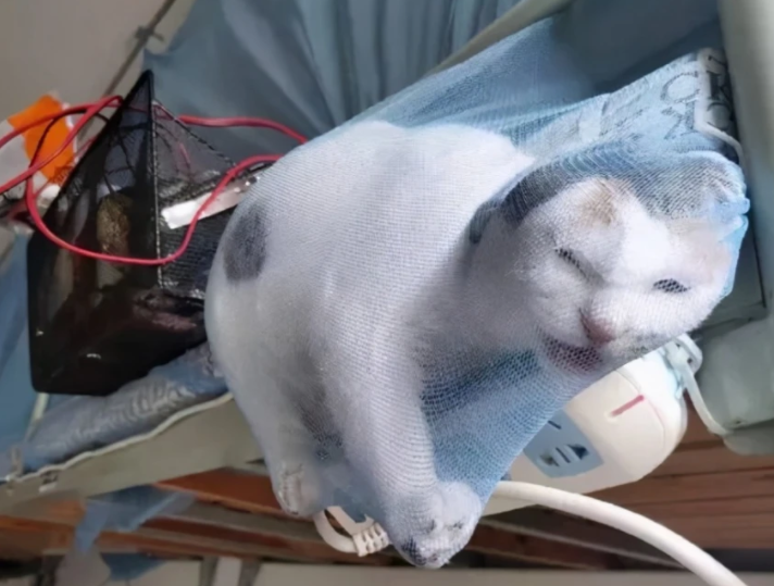 “五花八门，层出不穷”，大学生寝室“违禁品”，一个比一个有才