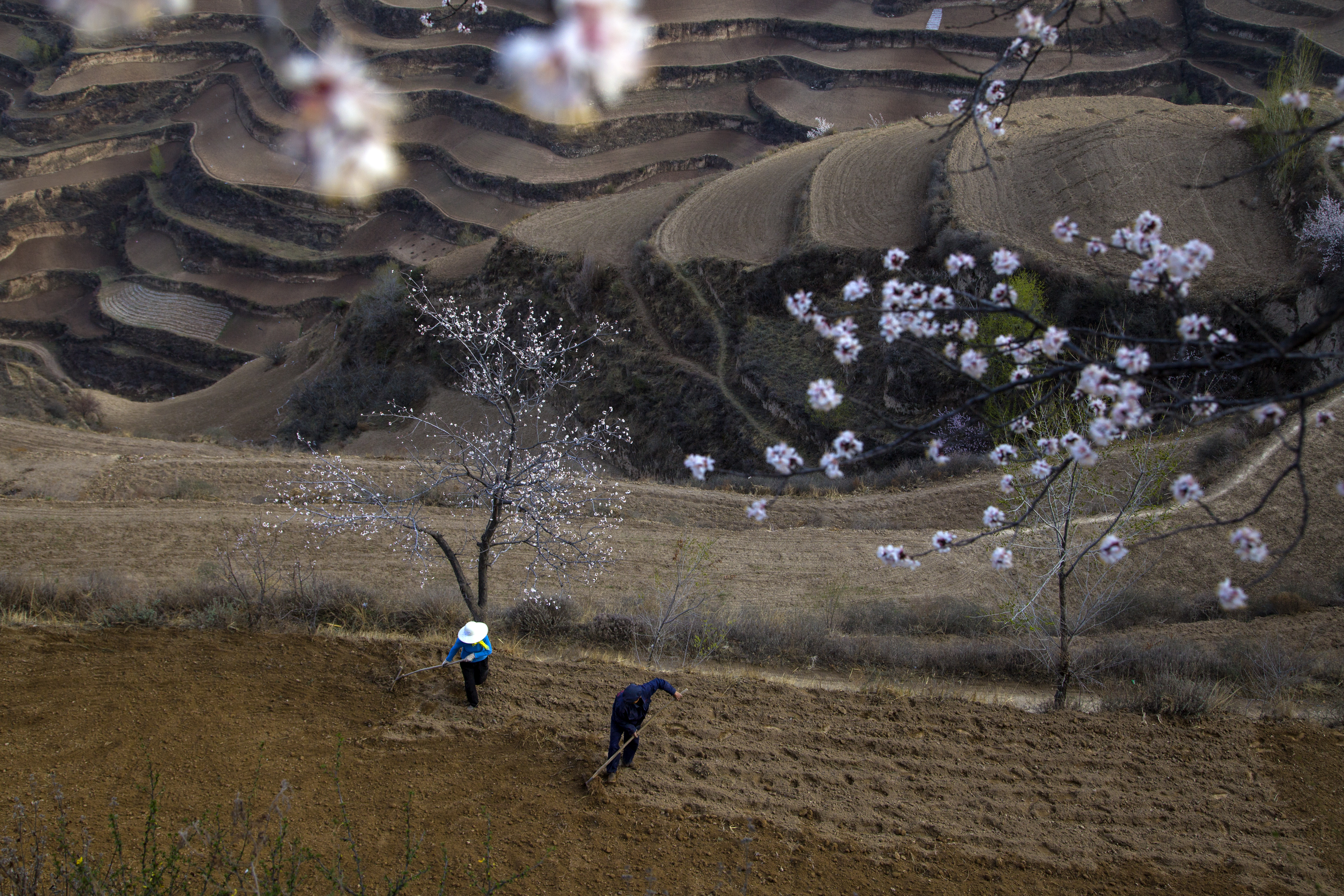 万象“耕”新，生生不息！