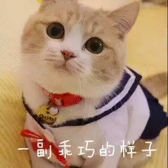 预警！靖江今早大雾突袭，高速封闭，汽渡停航！接下来气温暴跌
