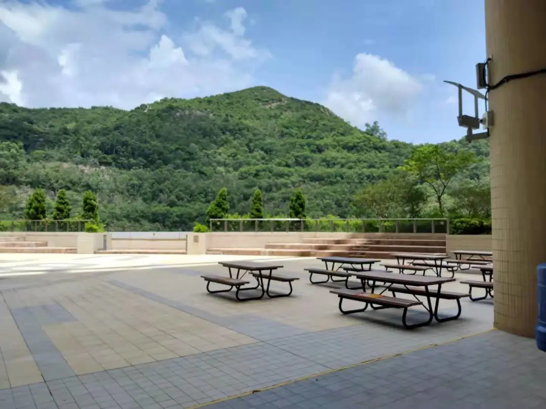 40岁生育,28岁上大学,“逆社会时钟”的人生太爽了