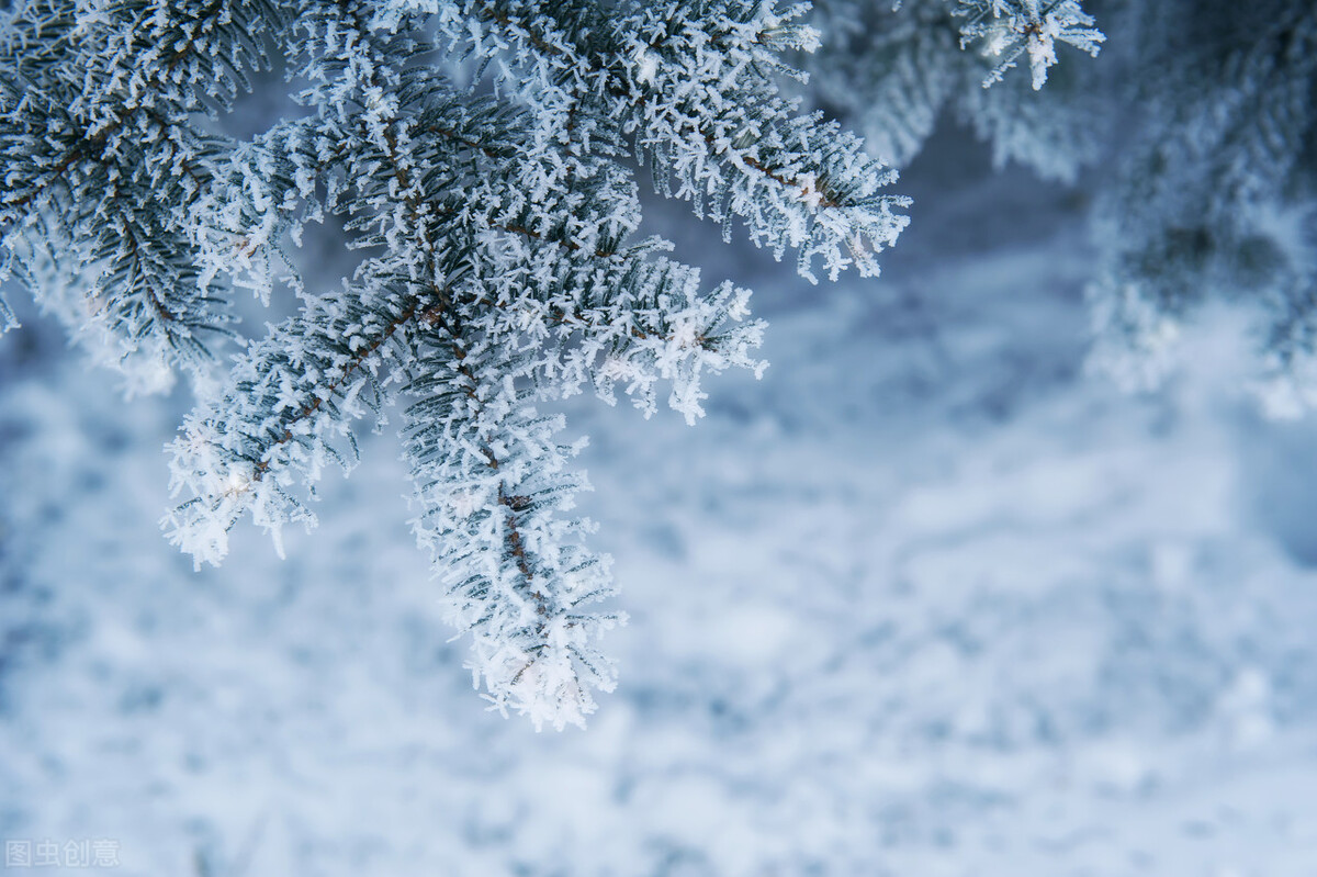 十首下雪的唯美诗词，每一首都值得收藏背诵