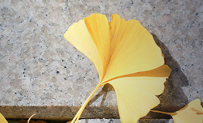 中国政法类大学名单一览：能考上靠前的院校，就业“很有保障”