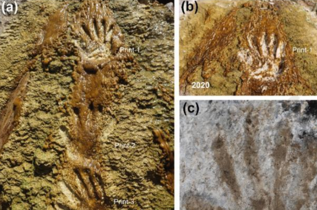 226,000年前，谁留在谁留在Aomi西藏西藏帕萨的小组？