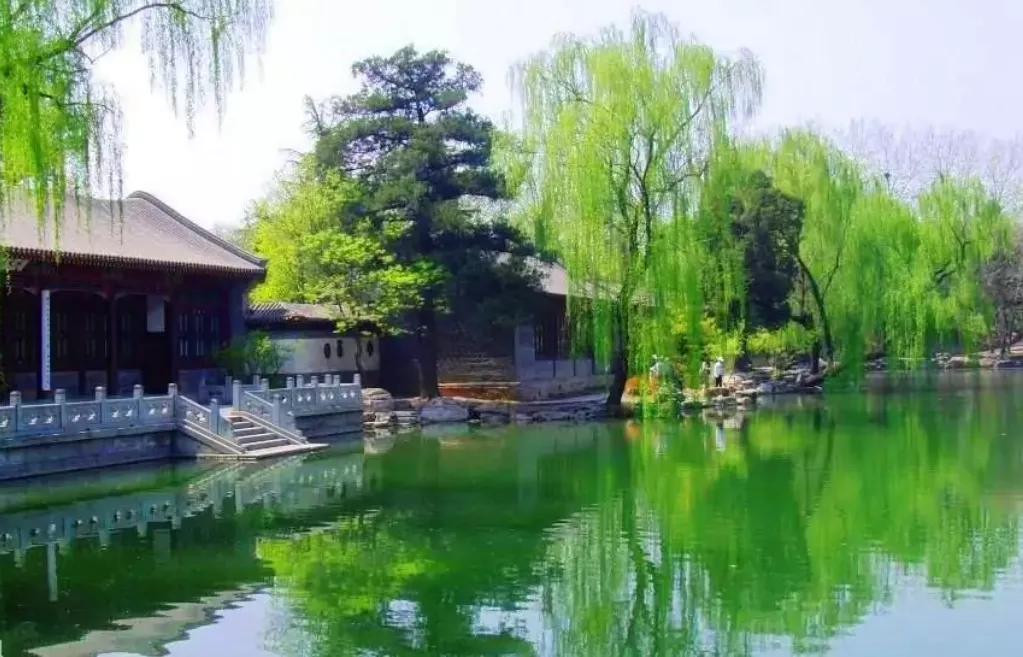 重庆校园文化建设丨清心远志，追光逐华—重庆市清华小学文化建设