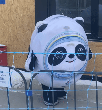 冰墩墩名场面可爱集