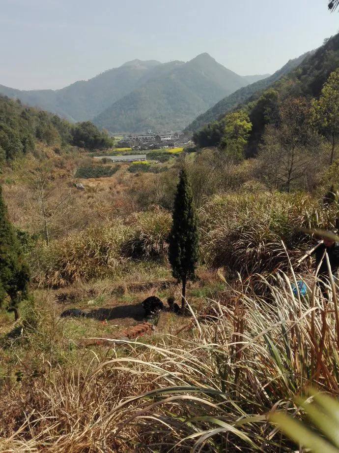 家乡的味道，就是人生的味道