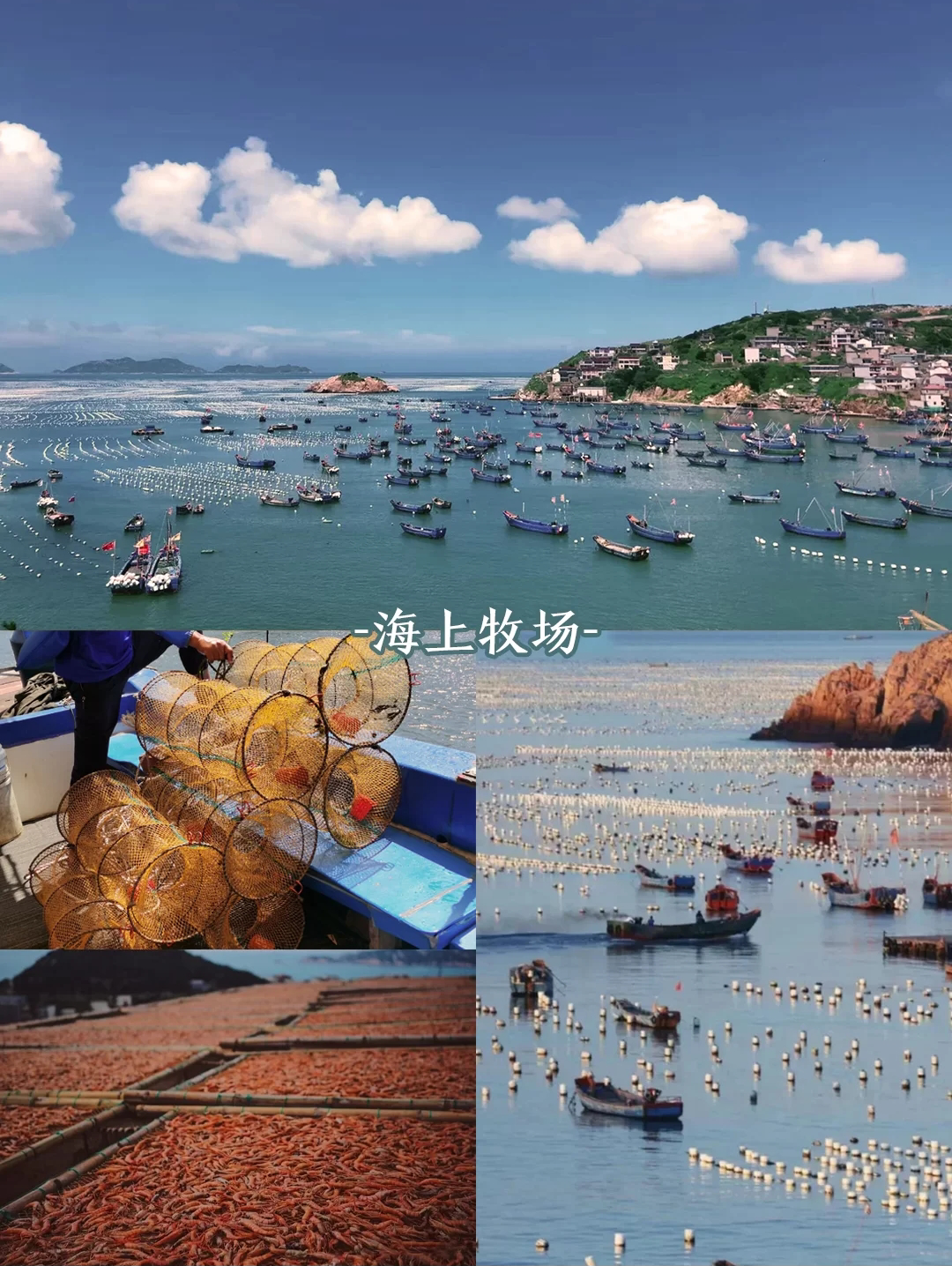 浙江风景名胜(看海还去什么巴厘岛？浙江这几个海岛美翻了，周末就出发)