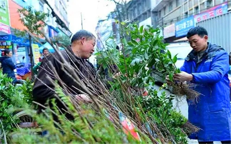 适合市场做的小生意（做小本生意）