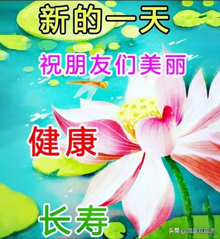 创意唯美亲人朋友早上好祝福语图片免打字 春日清晨早安问候语图片