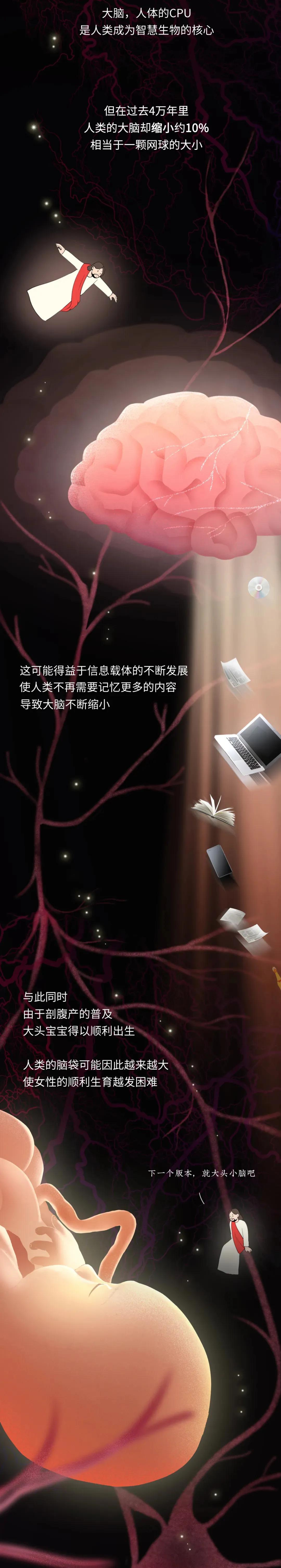 丁丁是怎么退化成今天这样的？