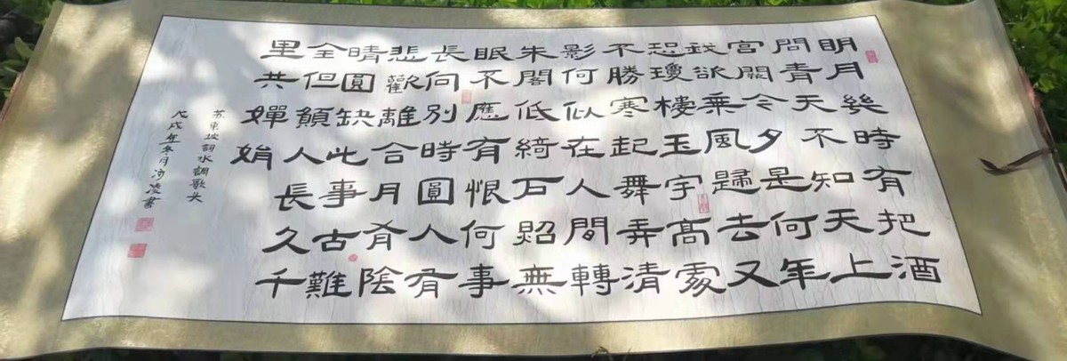 2021年艺术访谈人物——美女书法家冰凌