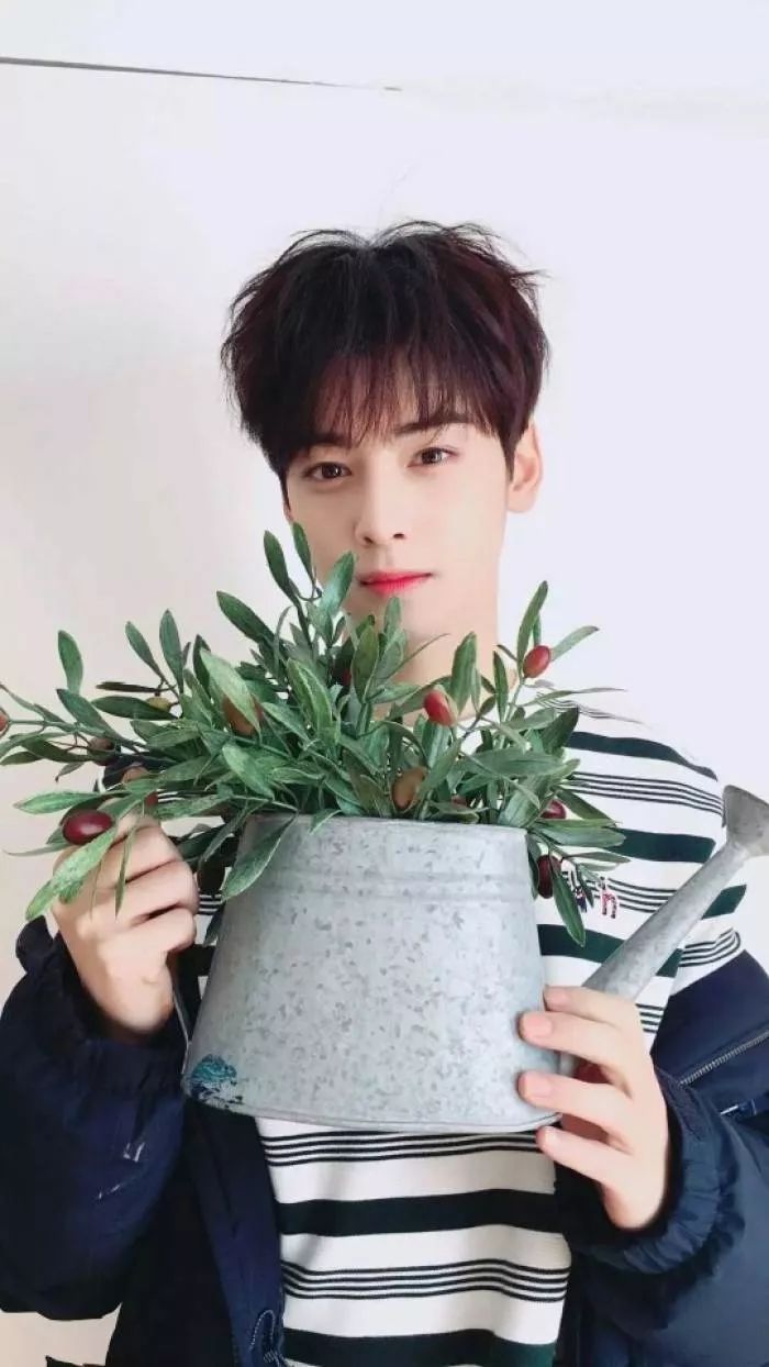 精选男明星壁纸合集｜秦霄贤｜白敬亭｜胡歌｜车银优｜陈立农