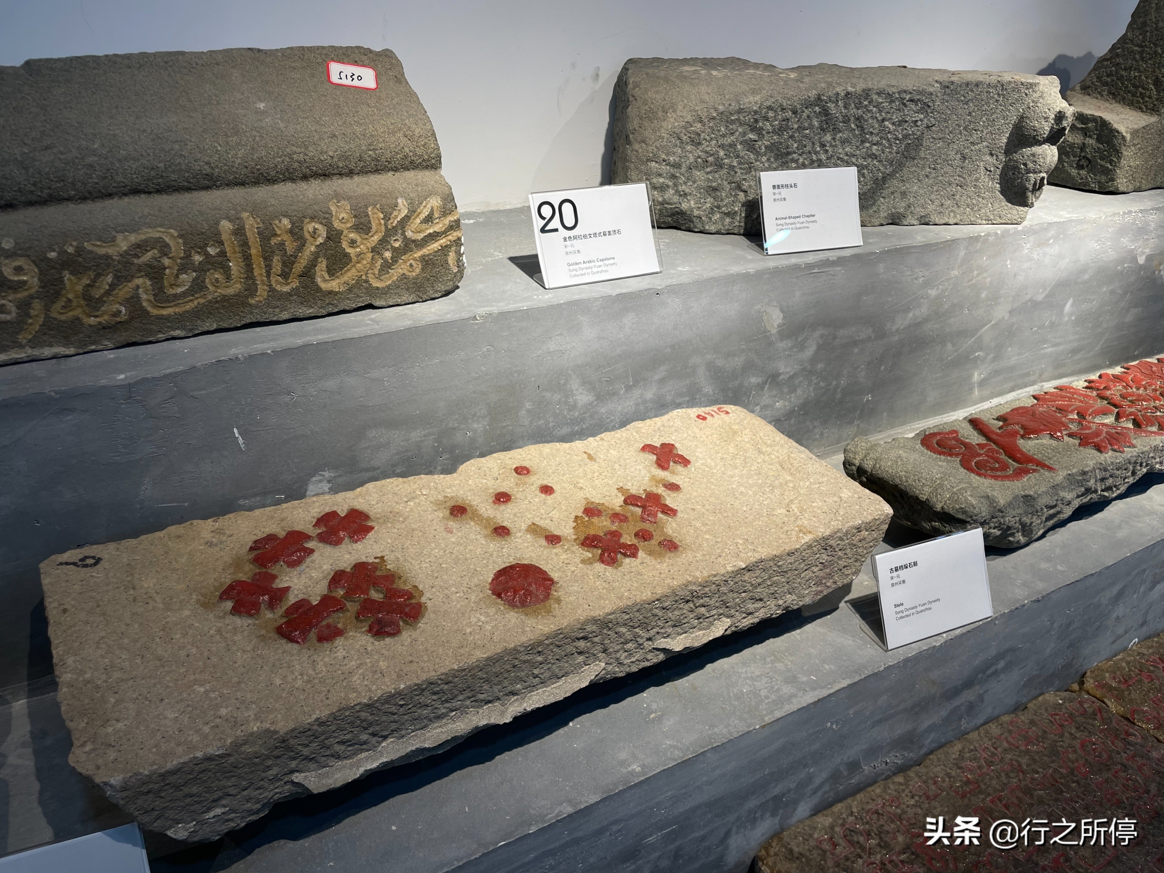 “中国最美大学”厦门大学博物馆开门了？还有惊喜的夜游活动