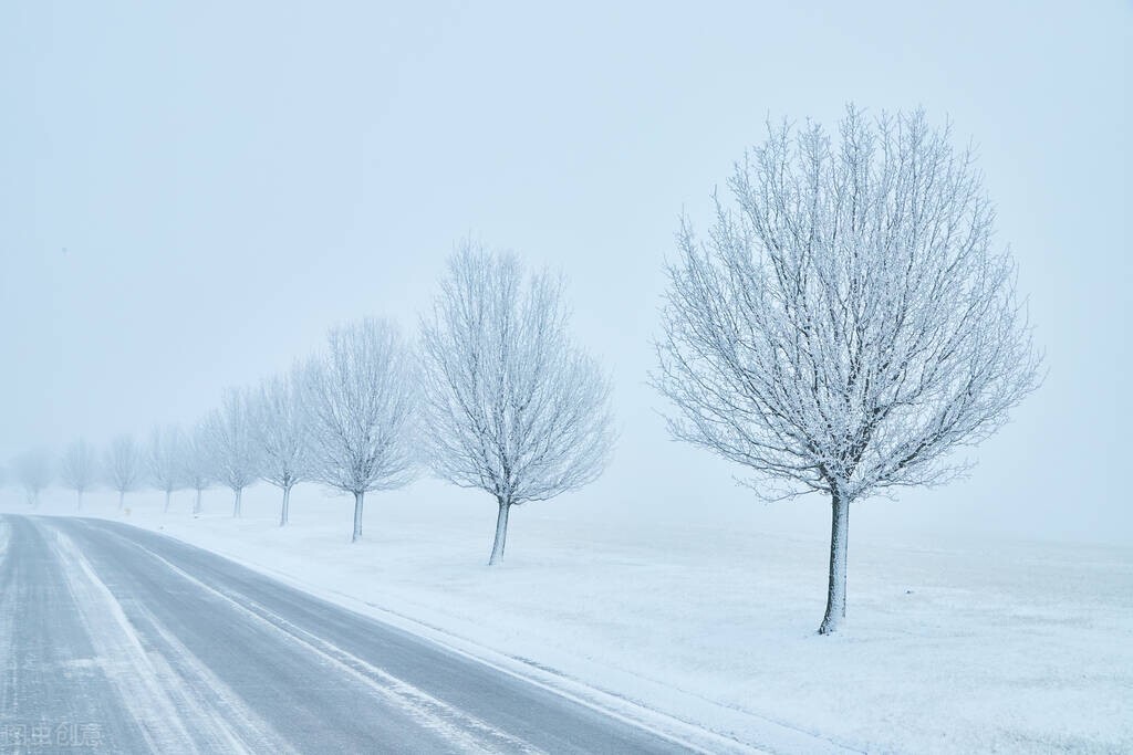 关于雪，你知道哪些句子