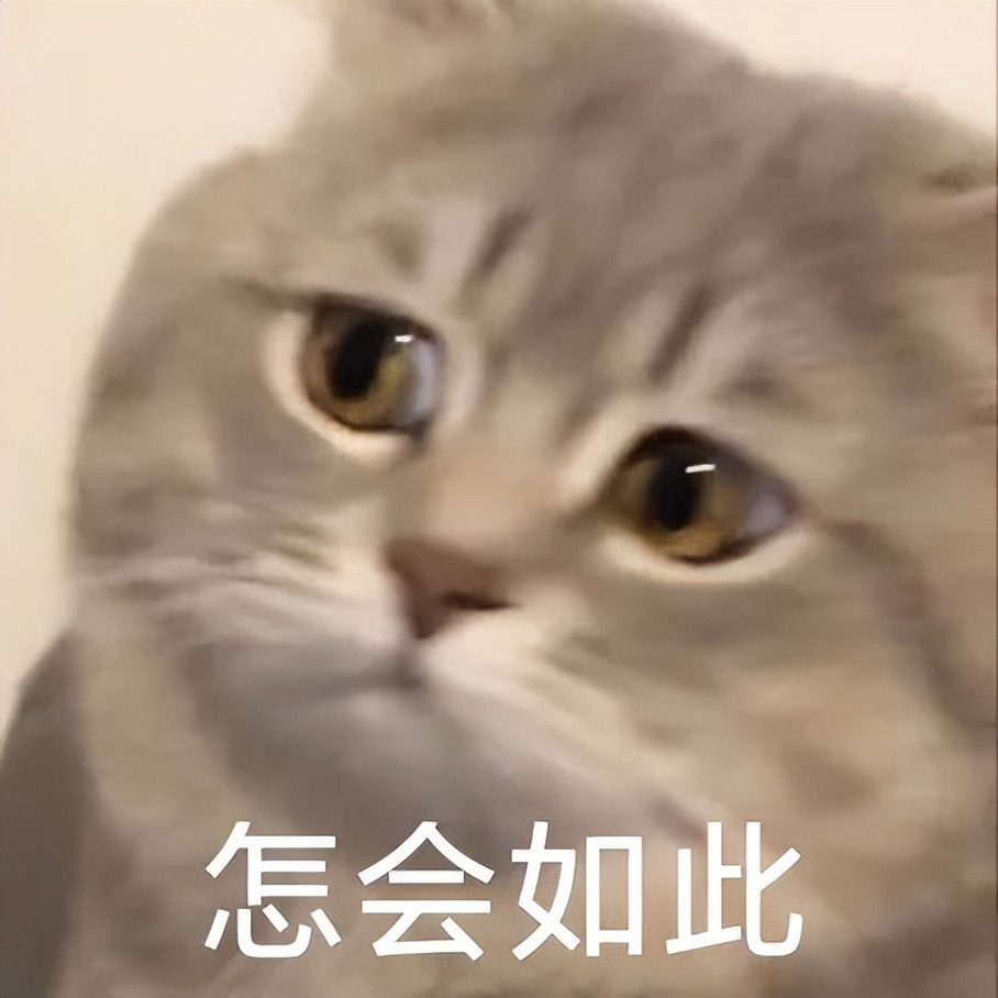 愣住没眼看表情包