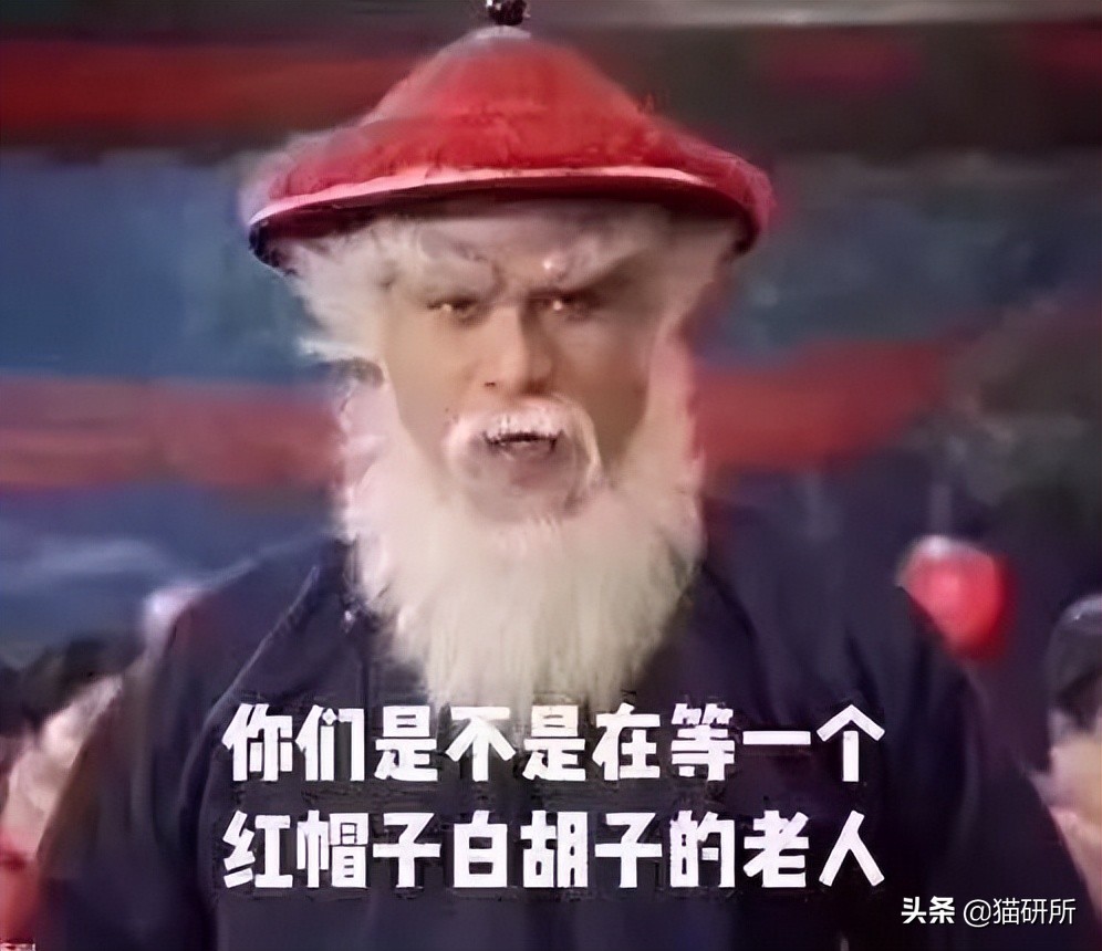 爆肝统计5000个猫名，让所有人都笑死在这些沙雕名字里