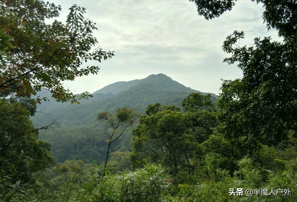 世界著名东方港市，广东广州旅行攻略