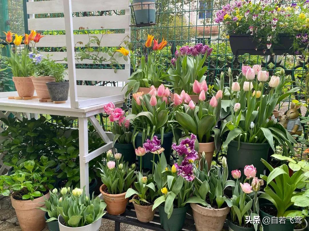 《朗读者》中董卿经典语录，每句都富含哲理