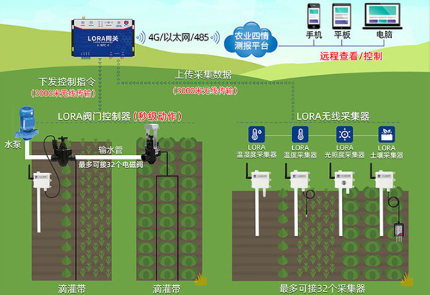 智慧農業(yè)的發(fā)展現狀及效益分析