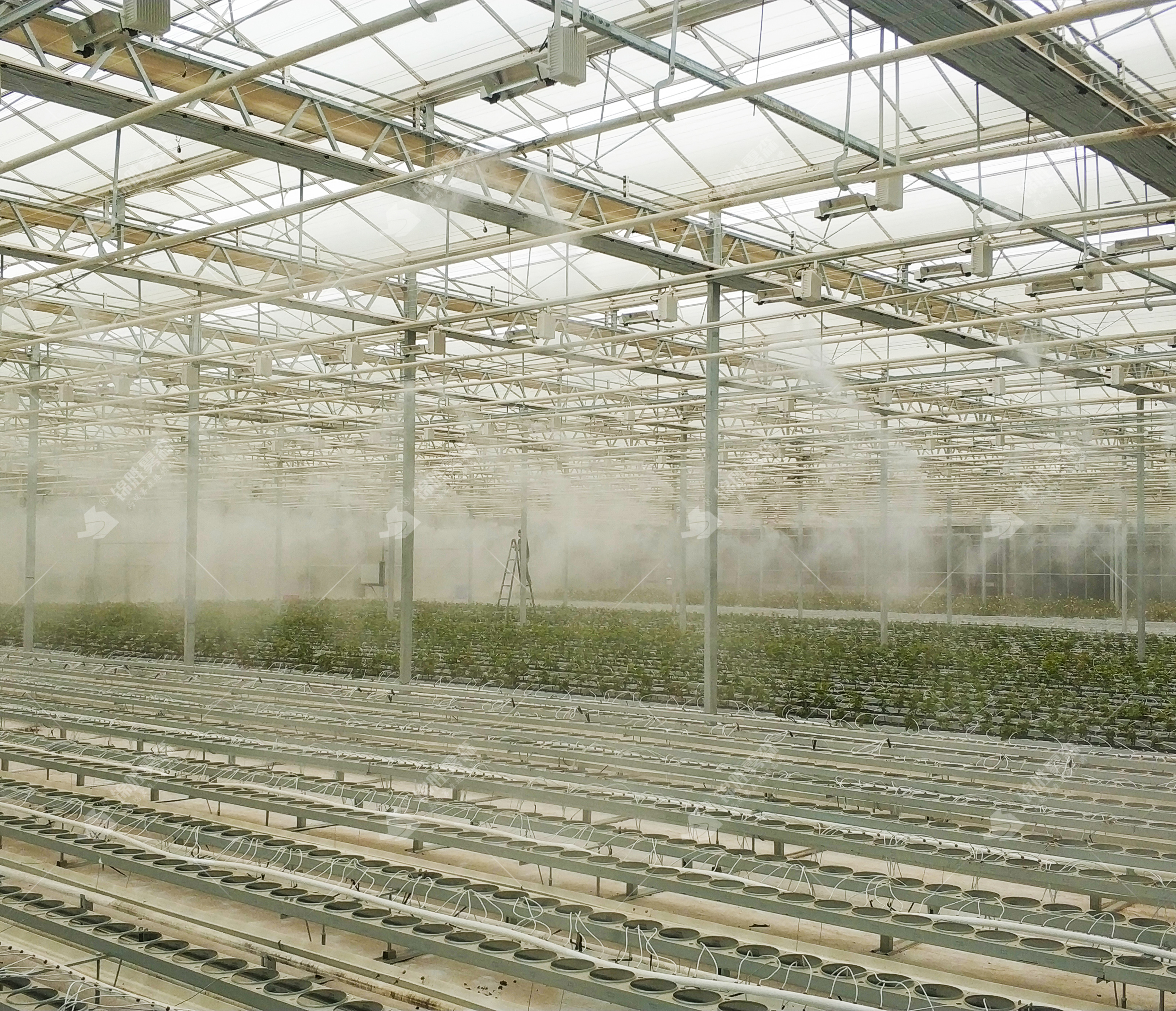 ���Ҵ����ǻ�ˮ����ʪ���£�ע�ܡ�������ˡ����衪����ʤ��ɭ