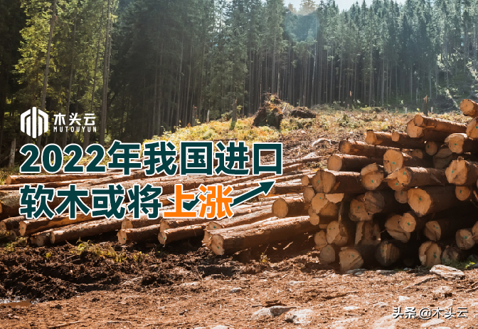 2022年我国进口软木或将上涨