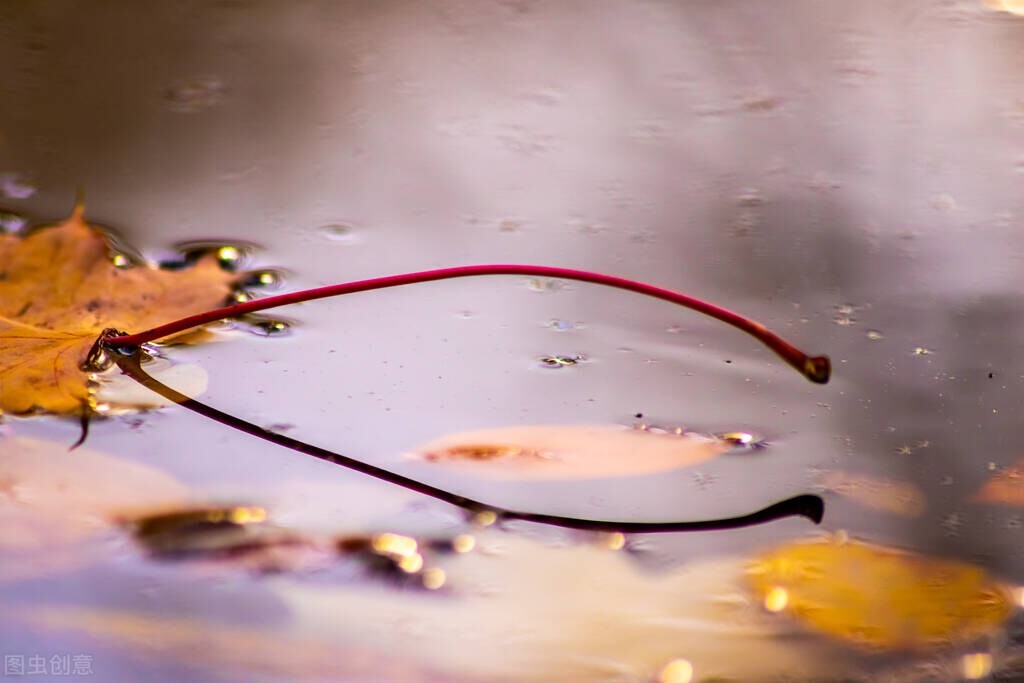 读书喜欢划线，除了金句你还可以划什么？