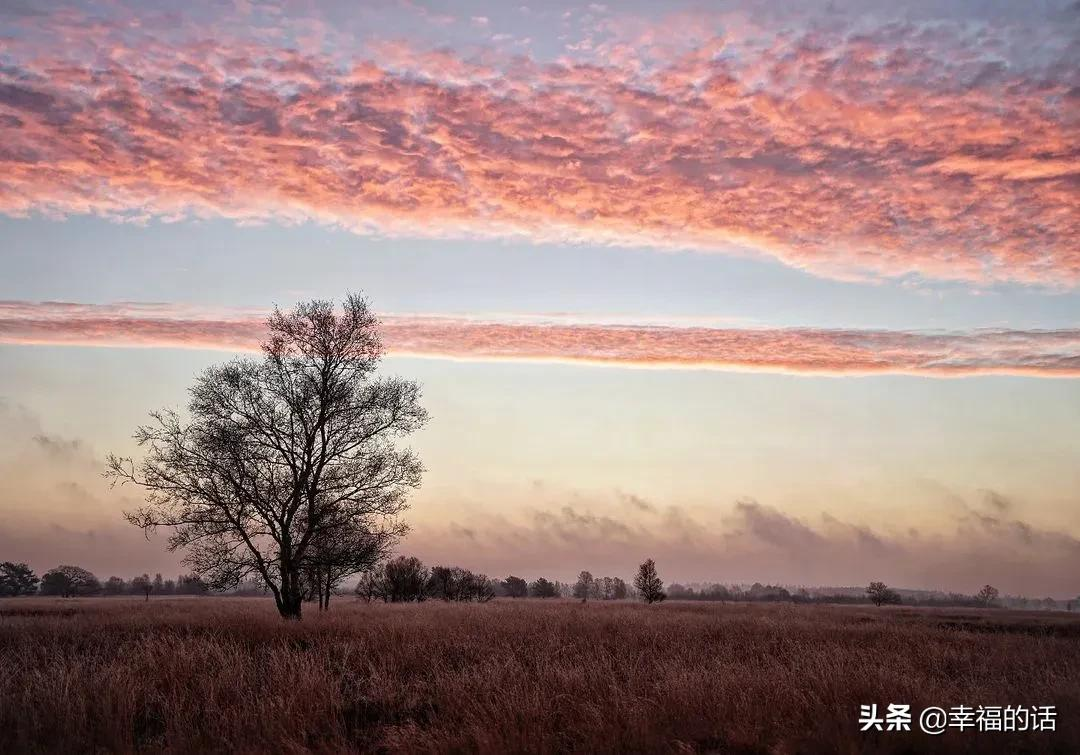 天际霞光入水中，水中天际一时红