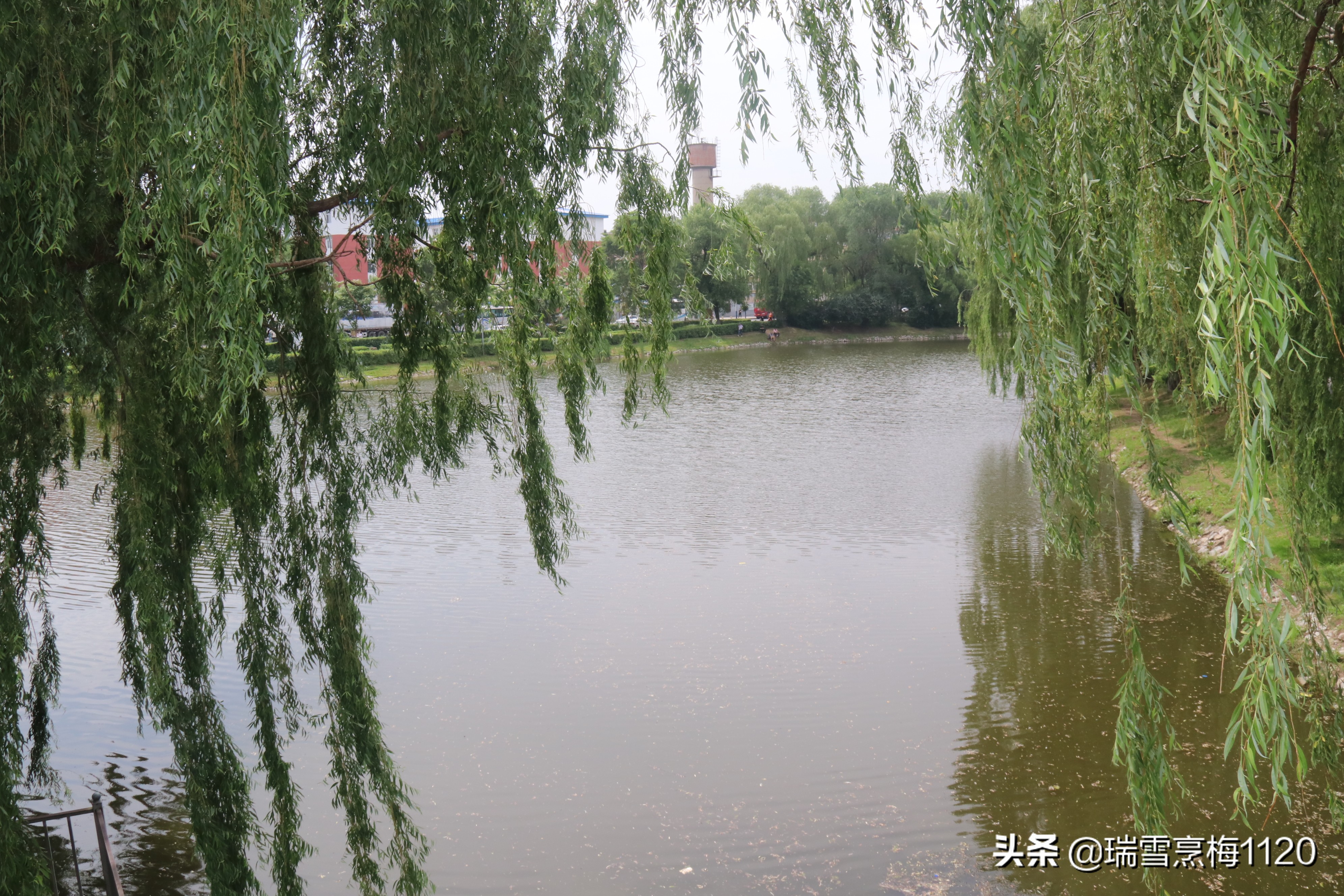 地名档案 | 沈北新区虎石台街道：宁王伏虎之地