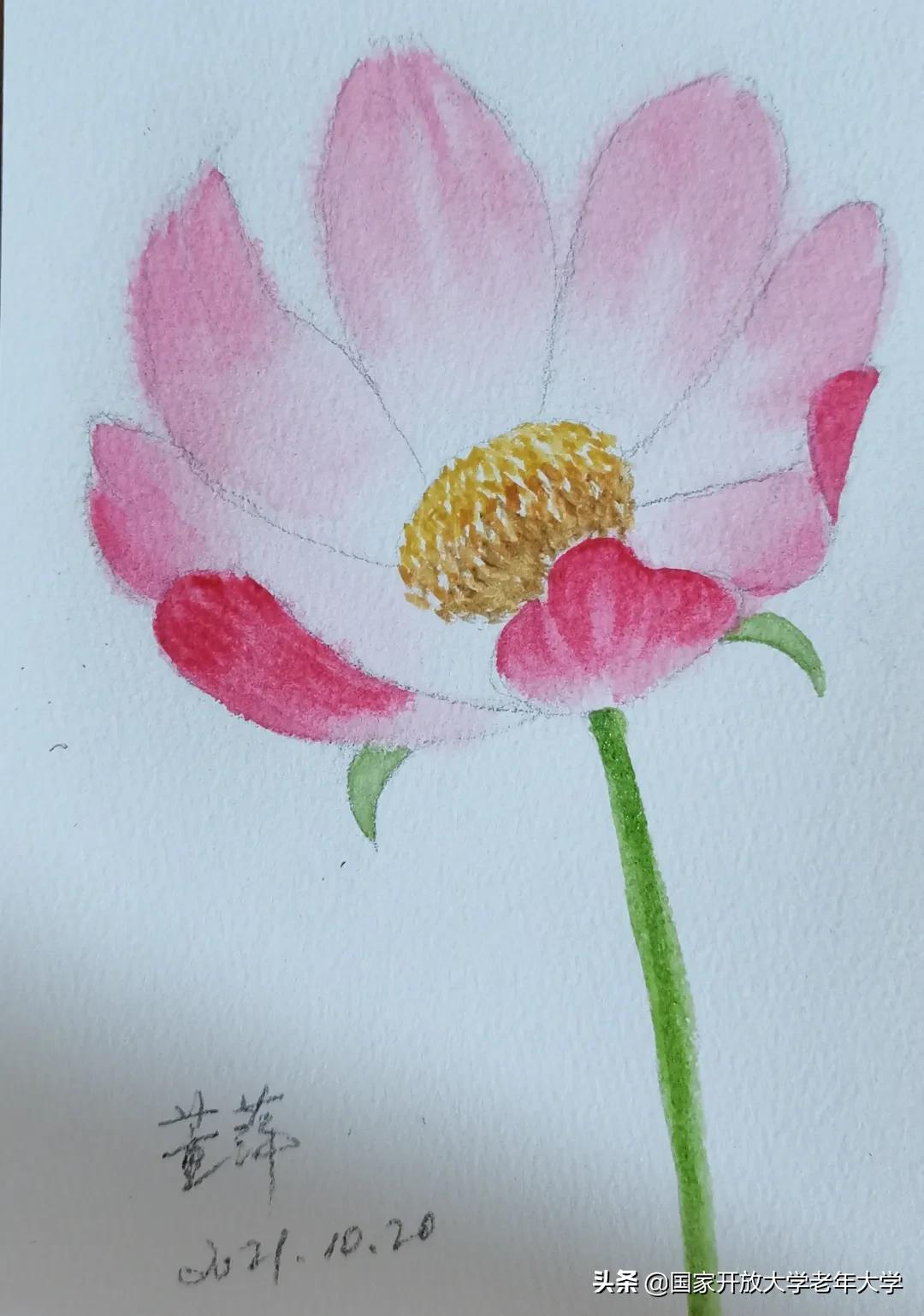 在校园·良作 | 水彩让我们的青春重新绽放——水彩画初级班学员作品