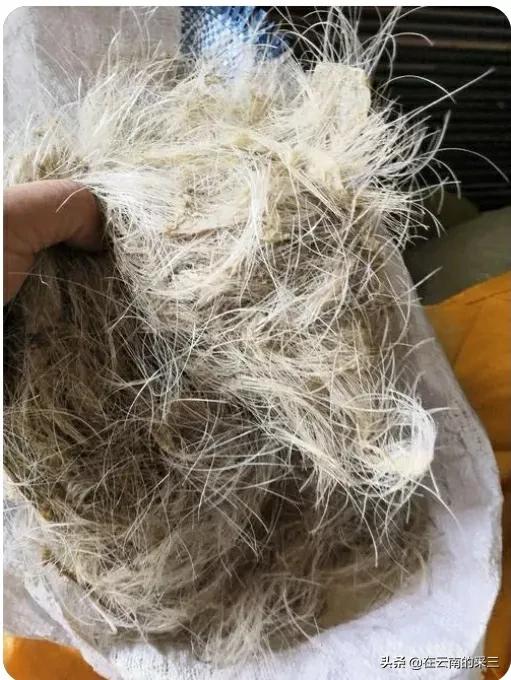 距离2022年过年还有64天