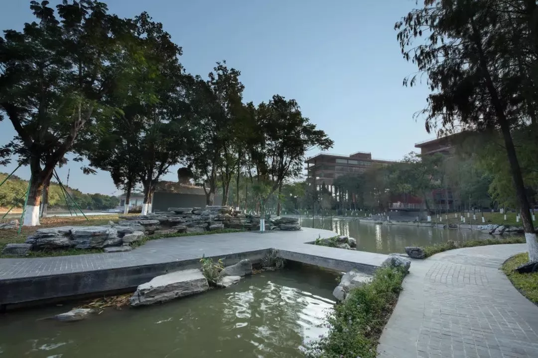 不用考教资啦！师范生有望在未来免试认定中小学教师资格