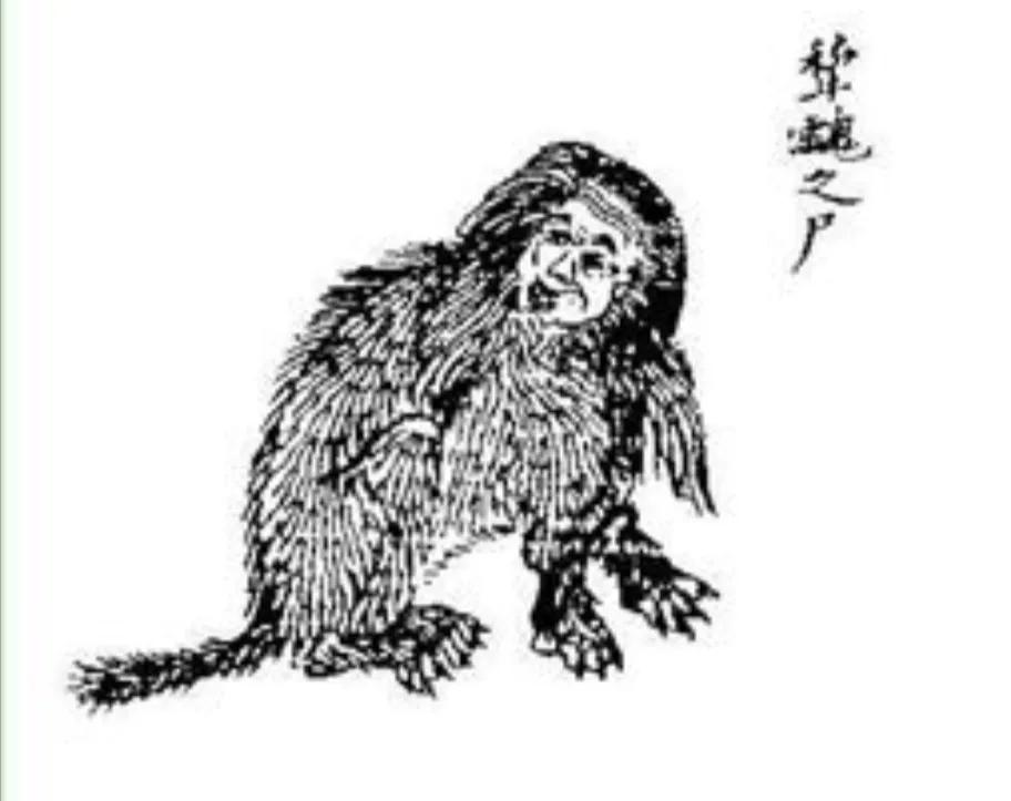 《山海经》：这些神话是不是看着眼熟！（大荒系列一）