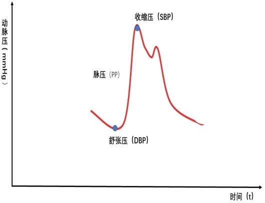 血壓的產生後,我們再來看一下高壓與低壓的產生原理以及所反映的內容