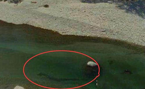 青海湖水怪谜团：说是蛇颈龙有有点不靠谱了