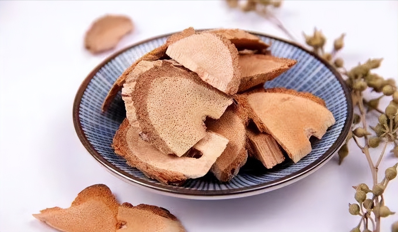 每日一味抗癌中药——藤梨根,清热解毒利湿,尤适用于胃癌病人