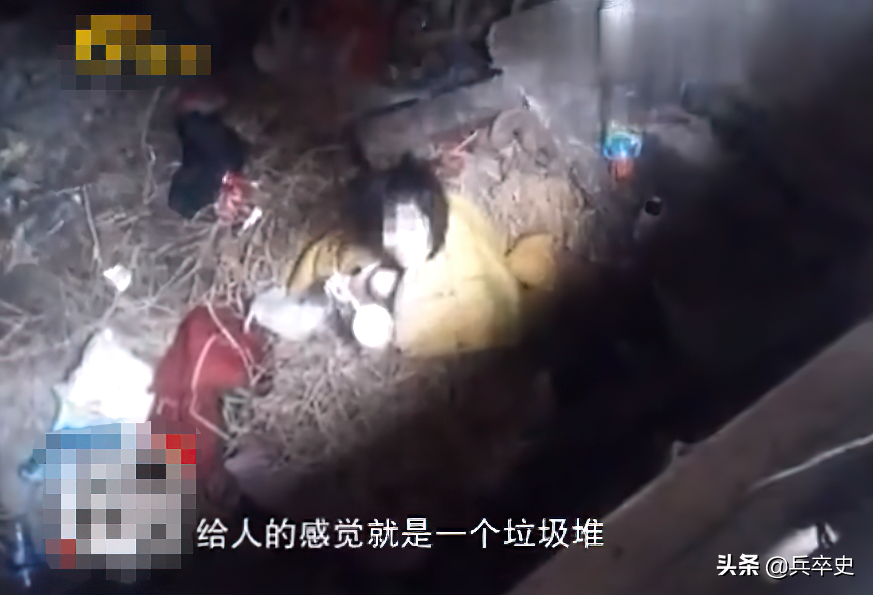 2015年，湖北24岁校花被父母“囚禁”5年，衣不蔽体与蛇鼠同住