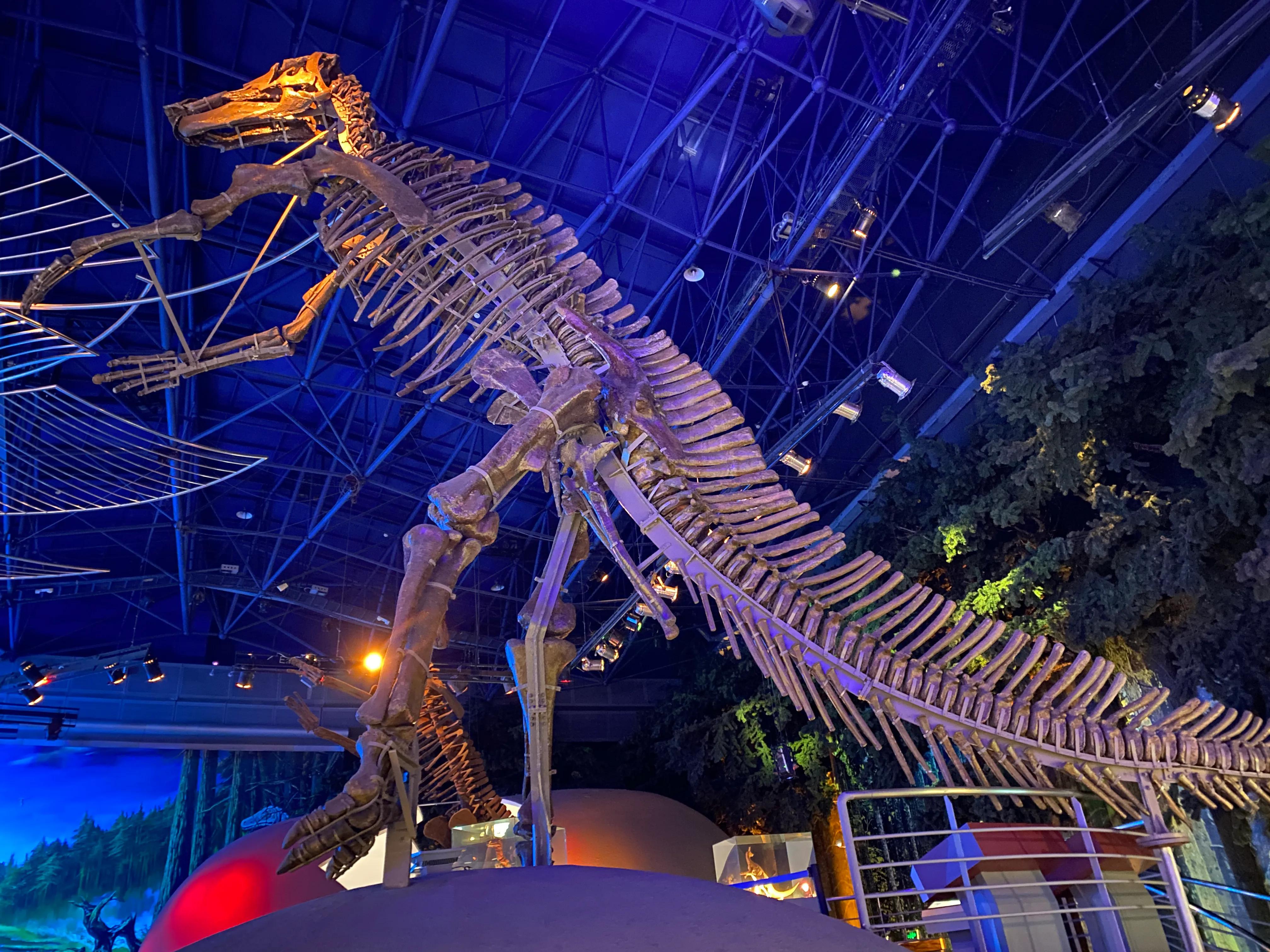 小众博物馆系列:常州中华恐龙馆