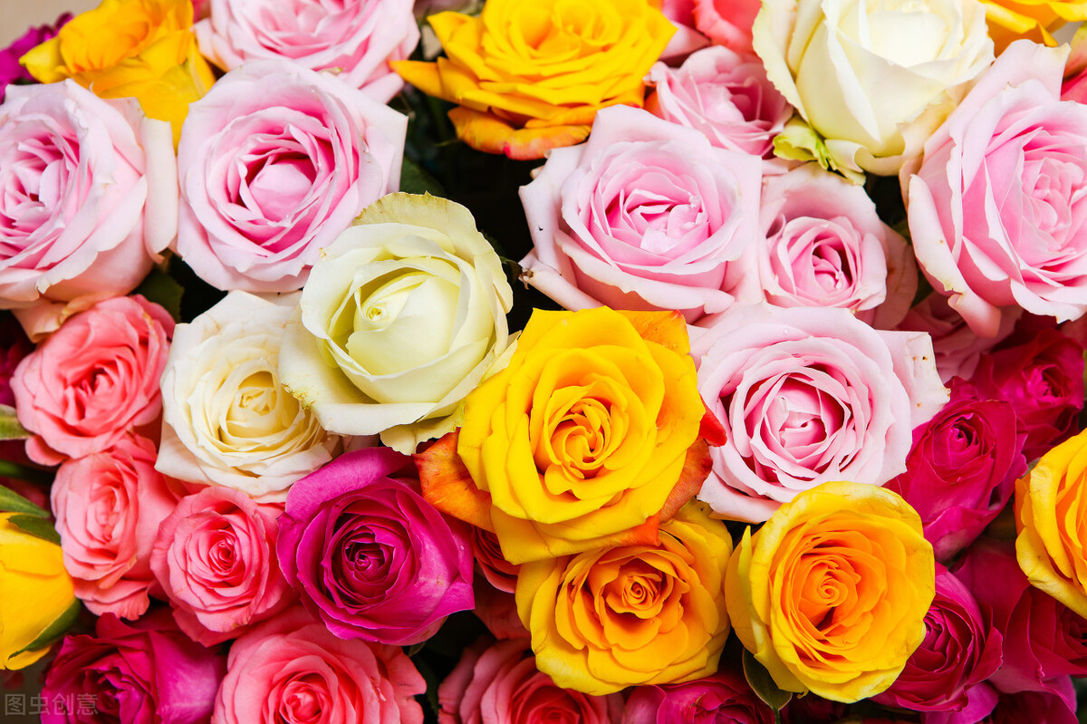 关于夏天的唯美句子，盛夏美好文案