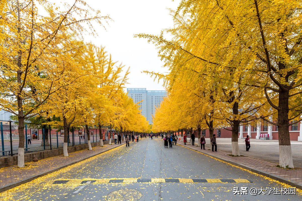2022年辽宁省大学排名一览表，有你心仪的大学吗？