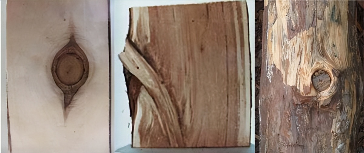留住手艺：木材基础知识——高密高博木业家具