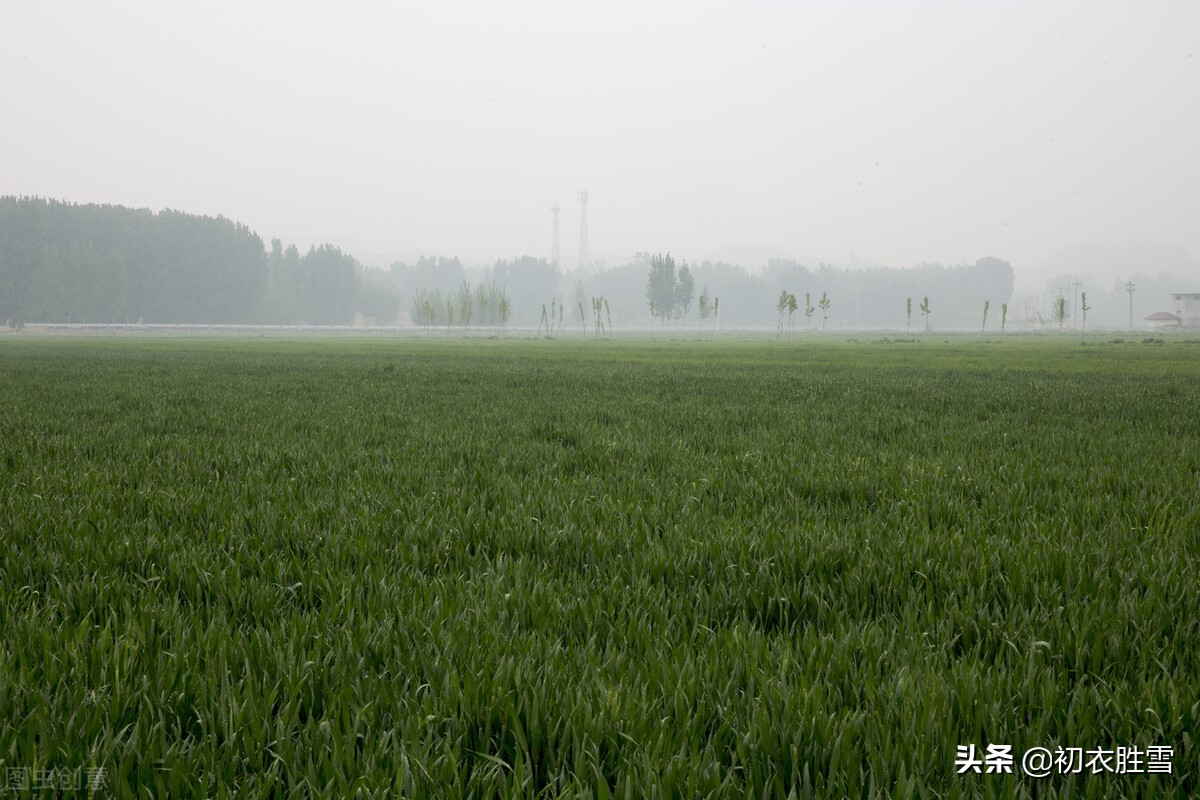 早春春雨春水古诗四首：春雨晴时春水生，有几梅花更晚风