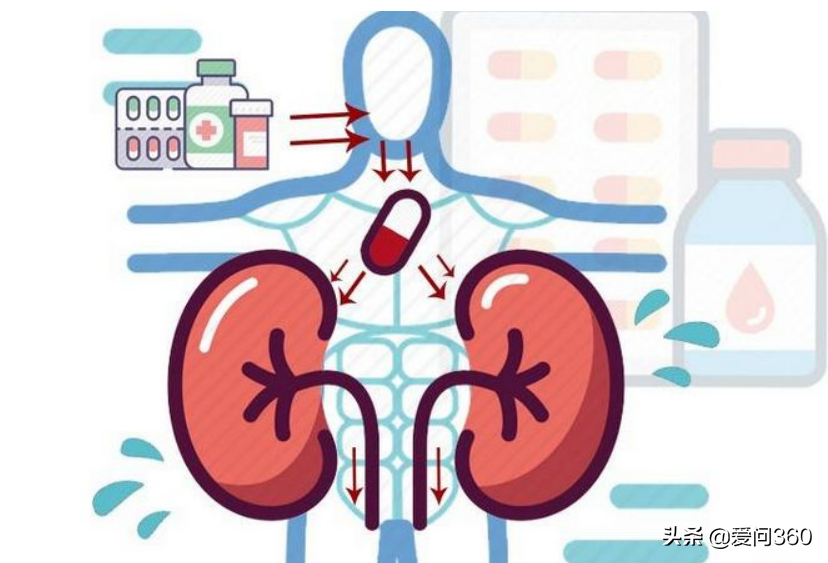 肾脏到底好不好，头发也能看出来，教你几个判断肾脏问题的方法