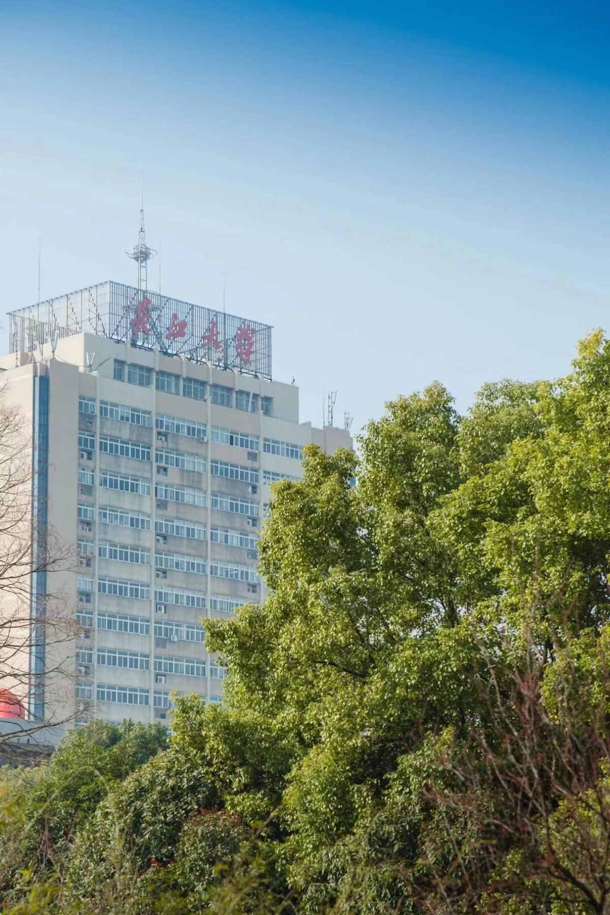 出分了！就在刚刚，2022年湖北省高考分数线正式发布