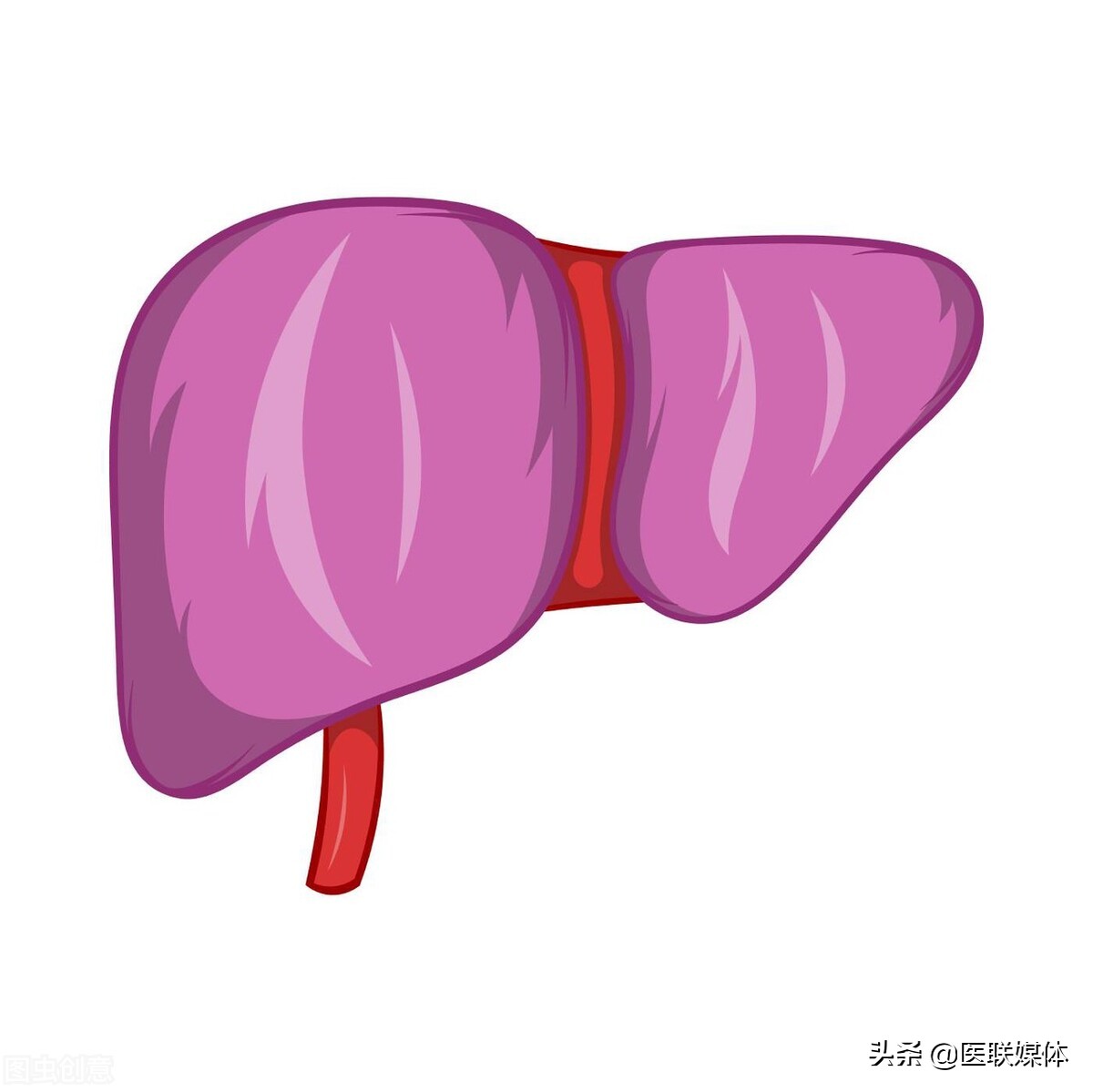 想要幹凈又健康的肝臟，堅持做好這3點，肝病不敢“擾”