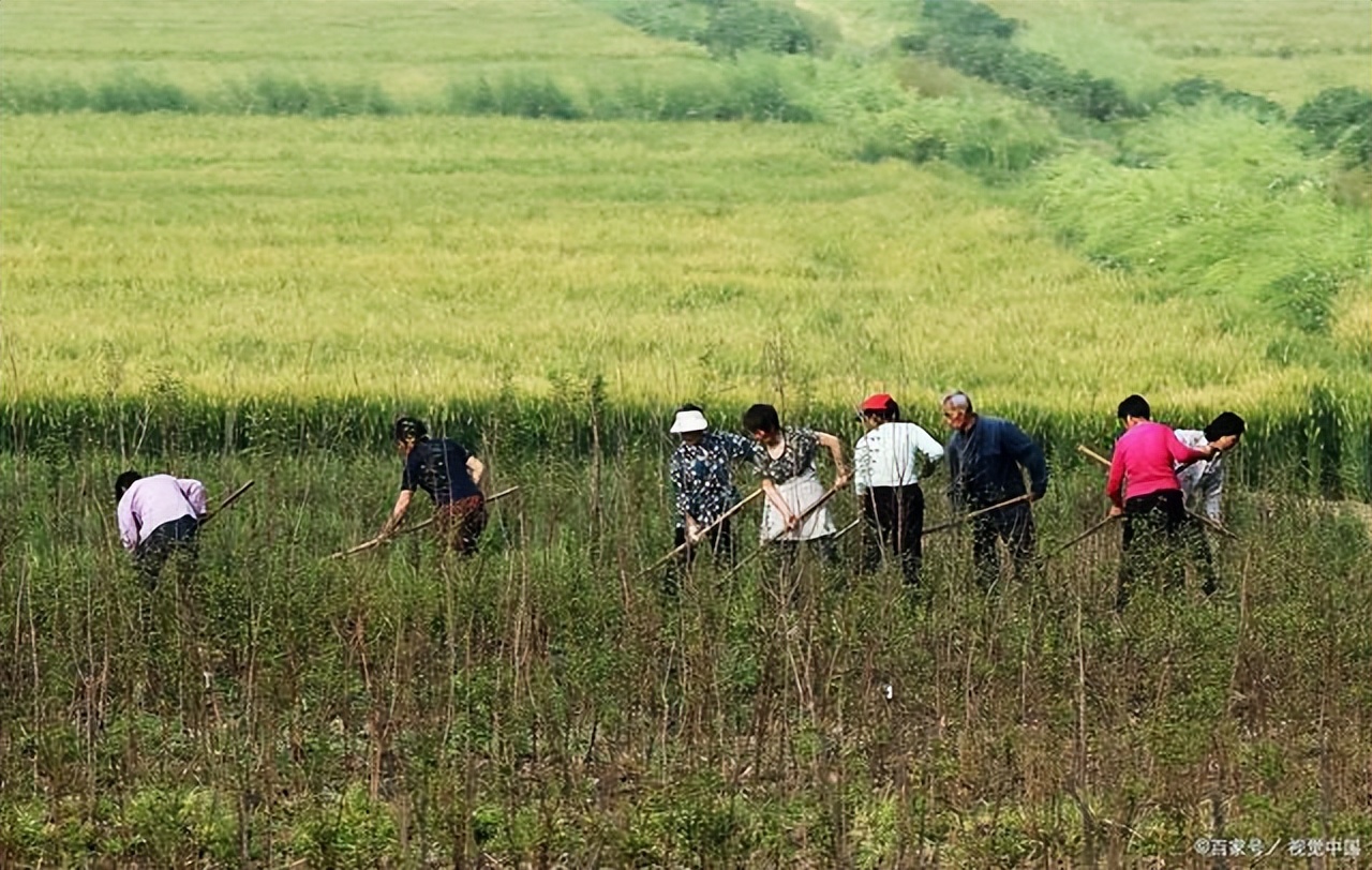 村委班子增设媒体部门，是否有必要？