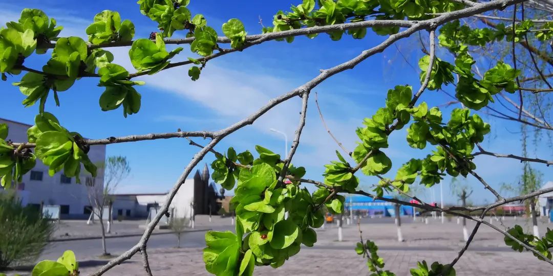 17�����������������ѾƵĴ�������