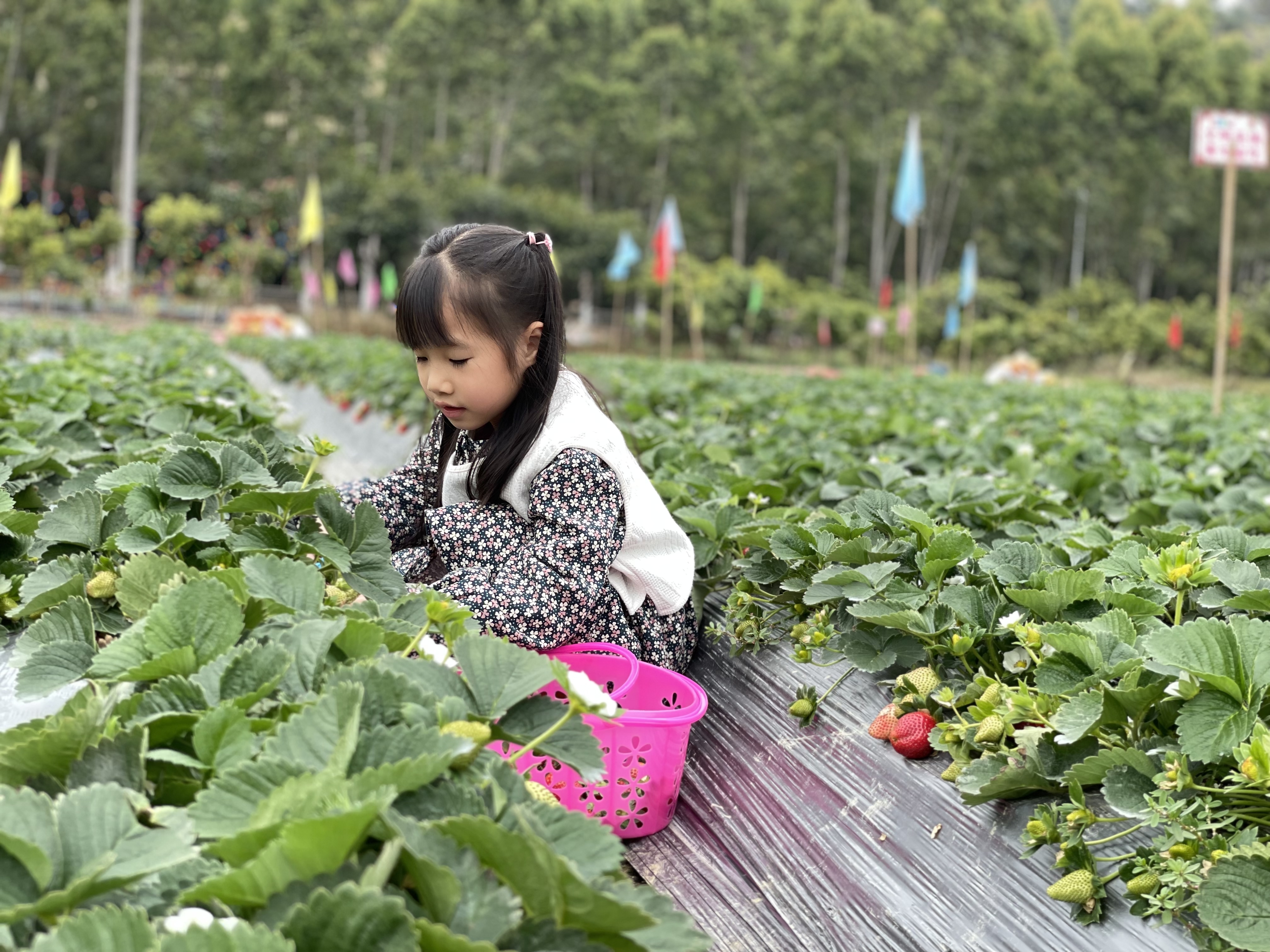 广东泡温泉去哪里？记得收藏广州后花园南昆山的游玩一站式攻略