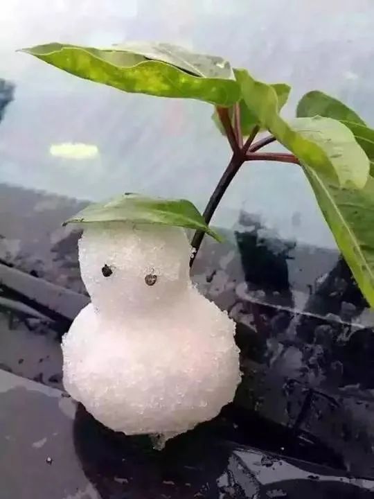 广州下雪,广州下雪了吗2022