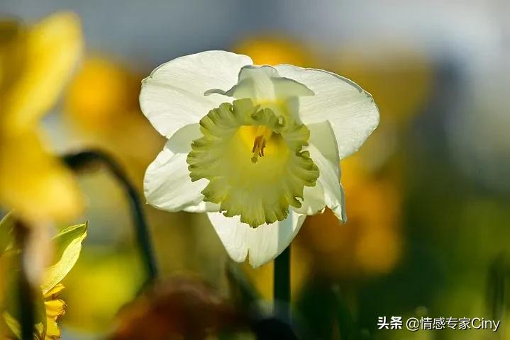 每一场校园欺凌的背后：人人都是施暴者