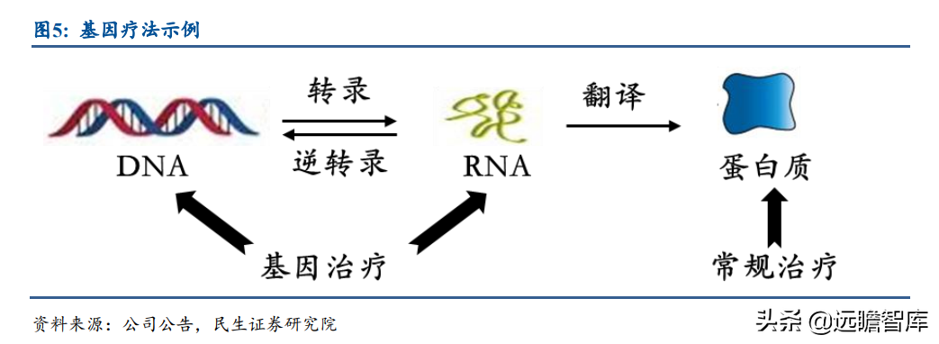 基因疗法热度持续攀升，新秀：诺思兰德，拳头产品剑指超百亿市场